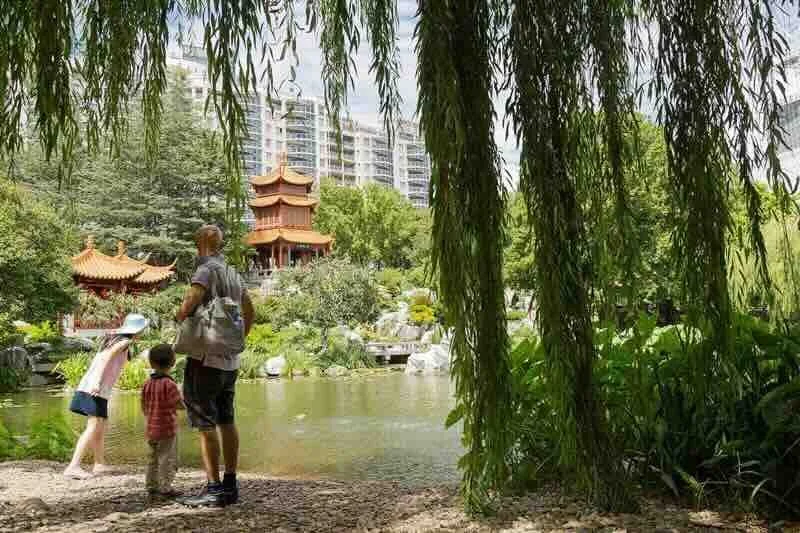 Junior Garden Master Challenge