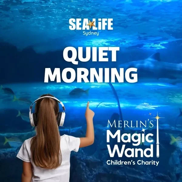 Quiet Mornings