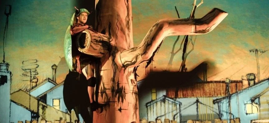 Beetle by Legs On The Wall