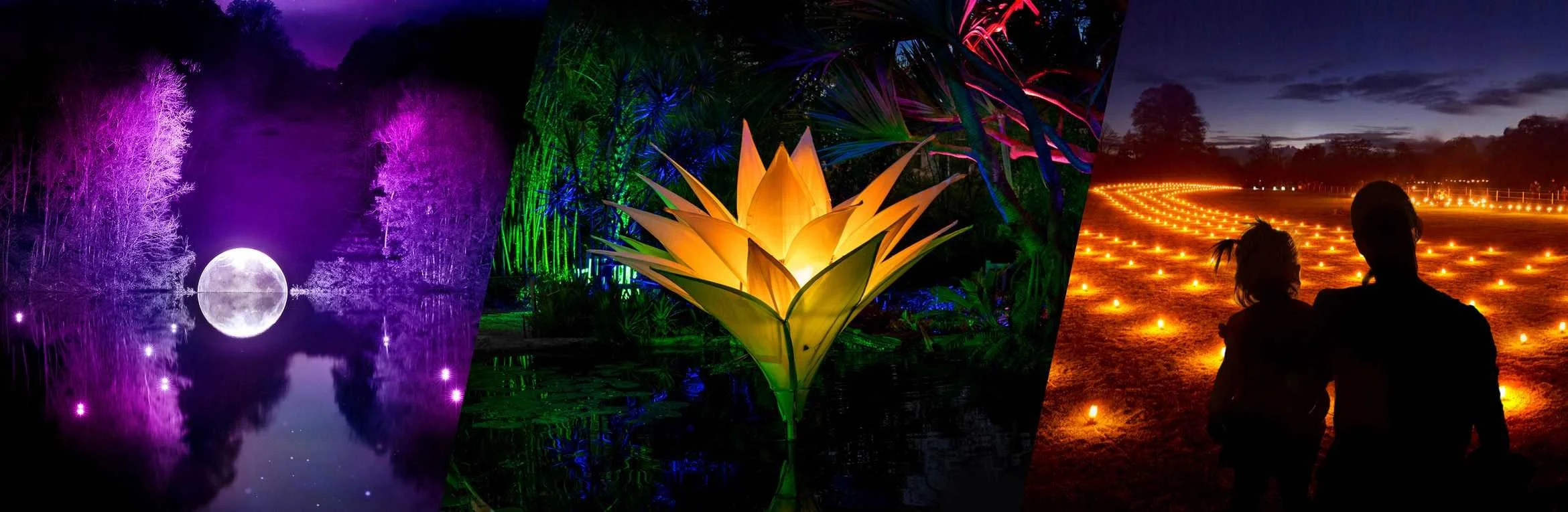 [Melbourne] Lightfall world-wide debut at Royal Botanic Gardens Cranbourne