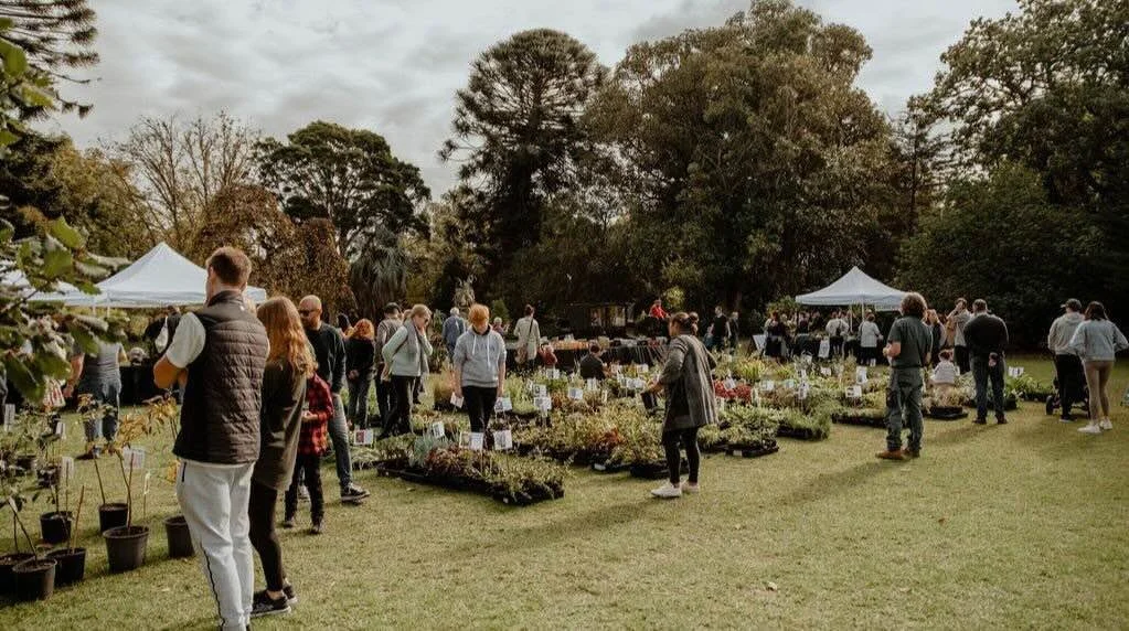 Botanica Festival 2025