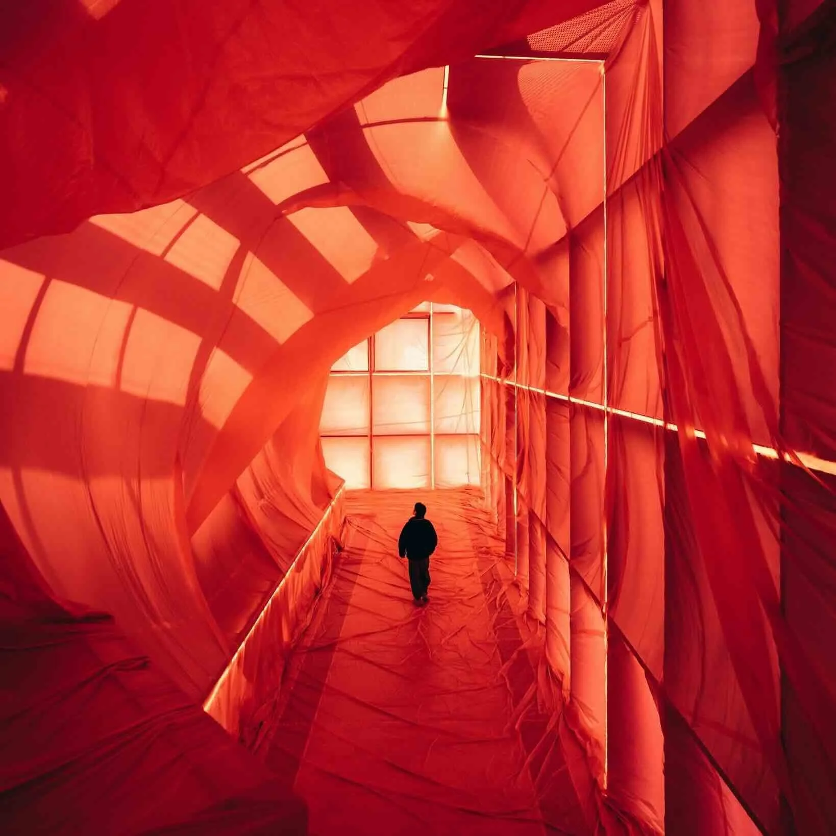 Now or Never Festival (Free and Paying)