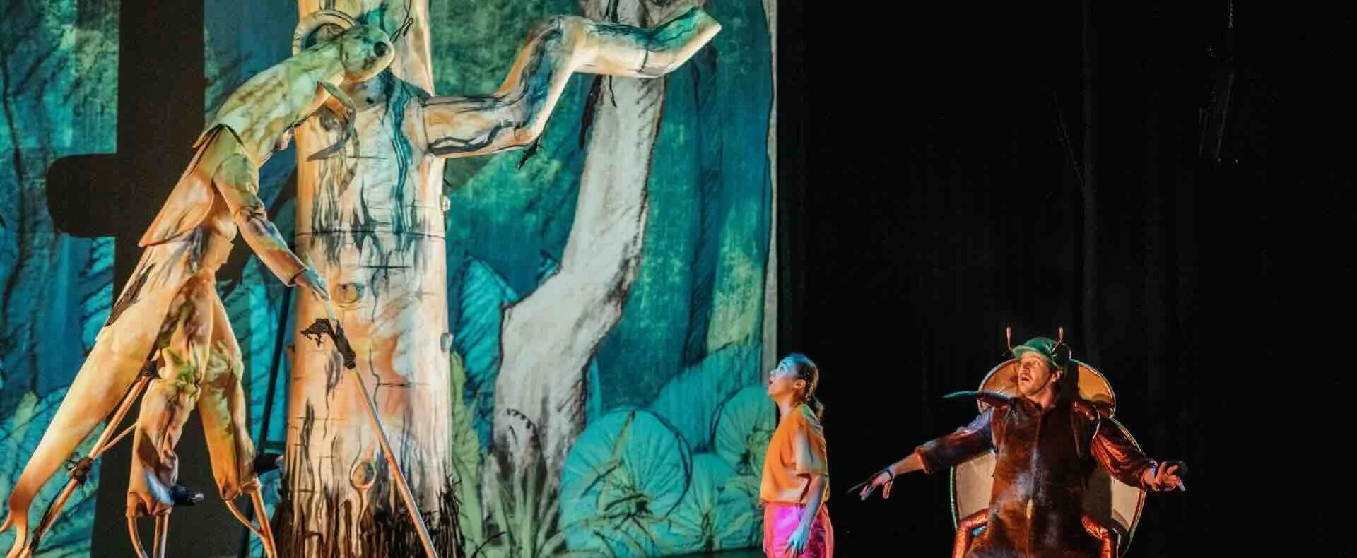 Beetle By Legs On The Wall