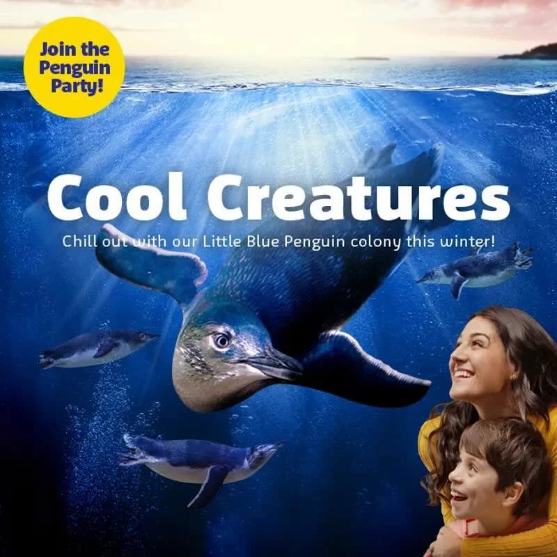 Cool Creatures