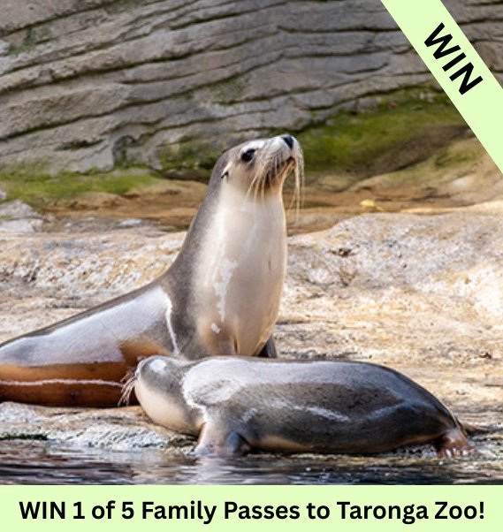 #sydney WIN 1 of 5 Family Passes to Taronga Zoo Sydney to celebrate their Winter School Holidays activities and NEW arrivals &ndash; go wild with a full day of family fun!

🐛 Crawly Critters Alive Show &ndash; Twice daily at 11.45am and 2.30pm, expl