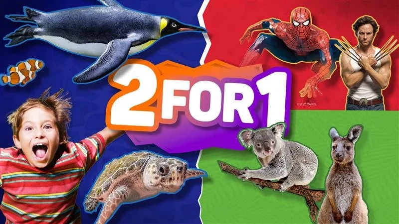 2 for 1 Adventures