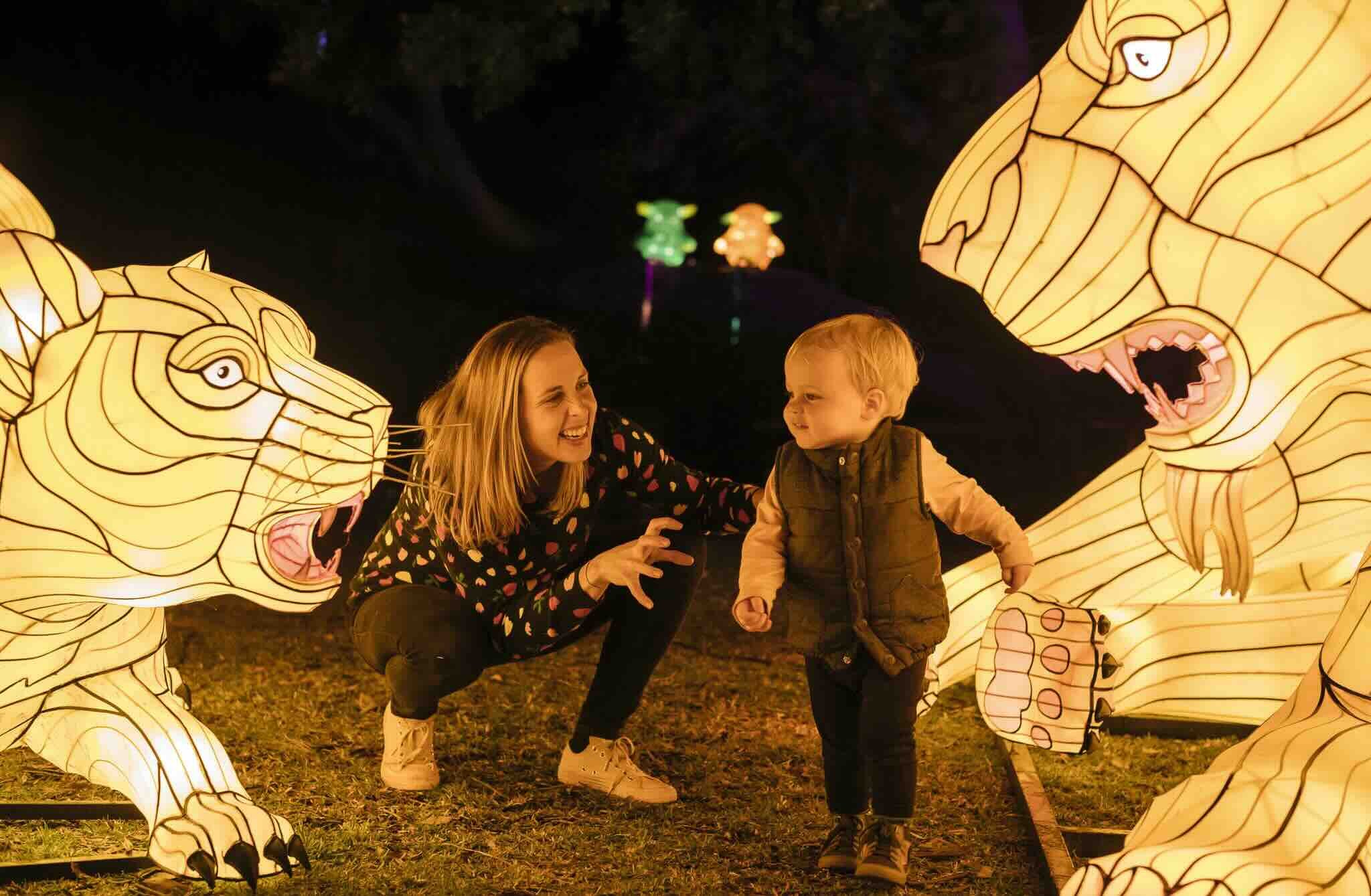 New family adventure –  Taronga After Dark, set to light up the night