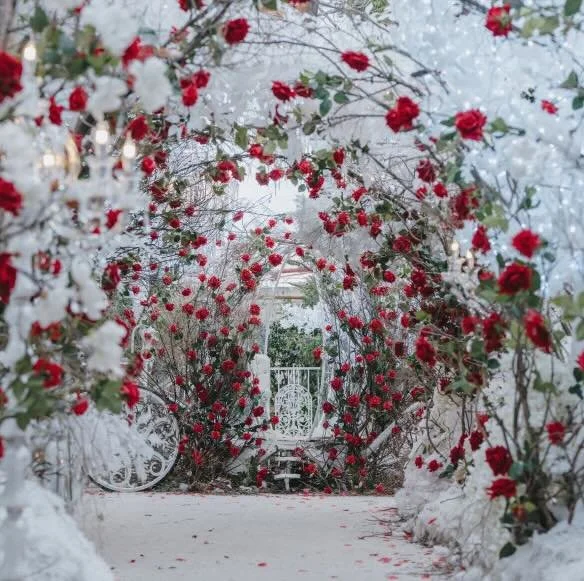 Winter Wonderland Blossom (Free)