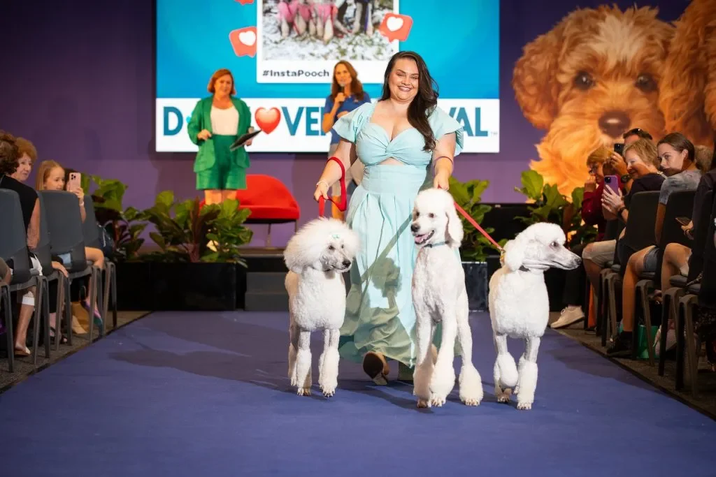 Cat &amp; Dog Lovers Festivals Return to Melbourne