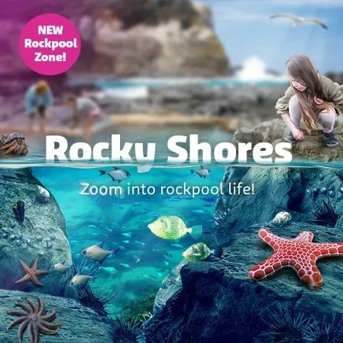 NOW OPEN! Rocky Shores at SEA LIFE Melbourne Aquarium