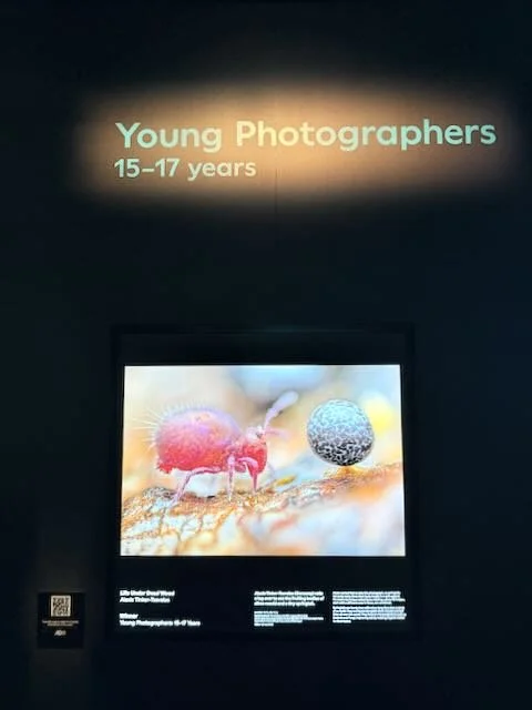 Wildlife Photographer of the Year 2025 - 5.jpeg