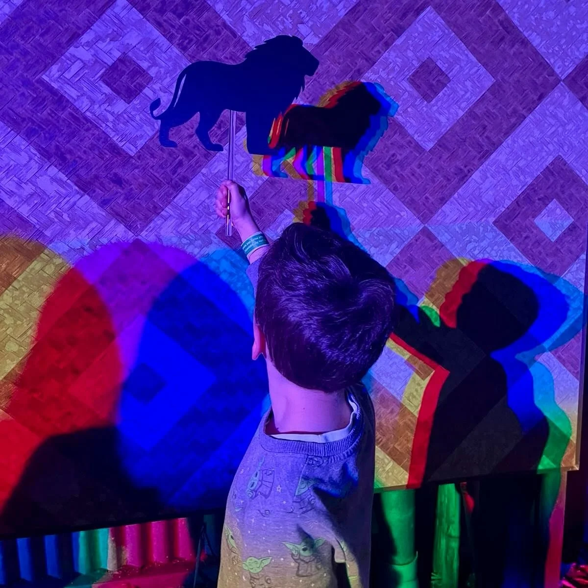 #Sydney REVIEW - Taronga After Dark: Opening Night at Taronga Zoo.

Last Friday night, we headed to @tarongazoo to check out their new after-dark event, Taronga After Dark, on until 12 October.

We started the evening watching the sunset over the Afr