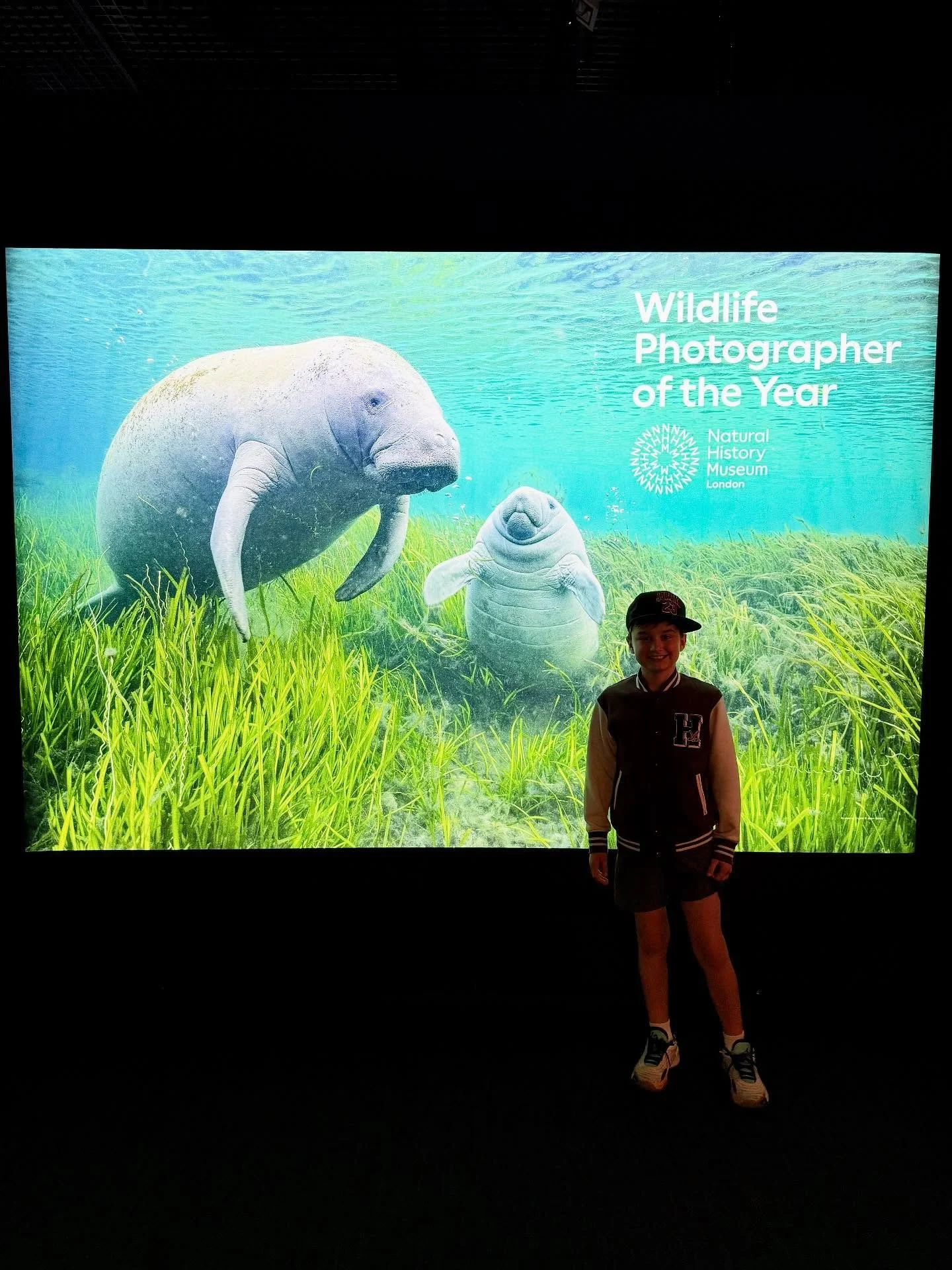 #Sydney REVIEW &ndash; Wildlife Photographer of the Year exhibition at the Australian National Maritime Museum.

Great to see this incredible exhibition again, as we do every year. This year&rsquo;s competition received an impressive 59,228 entries f