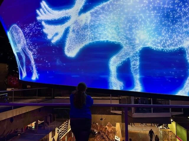Our Wondrous Planet Melbourne Museum - 2.jpeg
