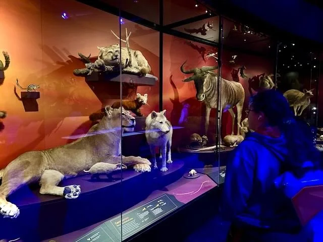 Our Wondrous Planet Melbourne Museum - 3.jpeg