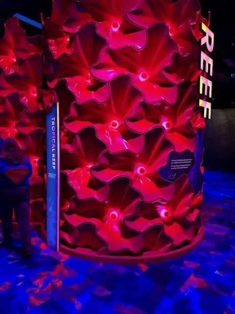 Our Wondrous Planet Melbourne Museum - 5.jpeg