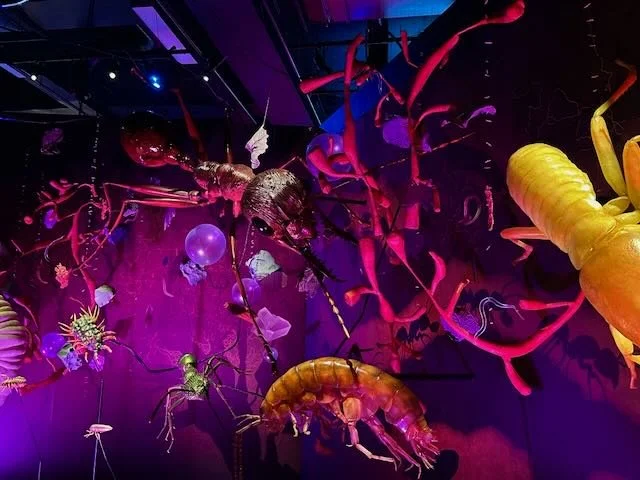 Our Wondrous Planet Melbourne Museum - 10.jpeg
