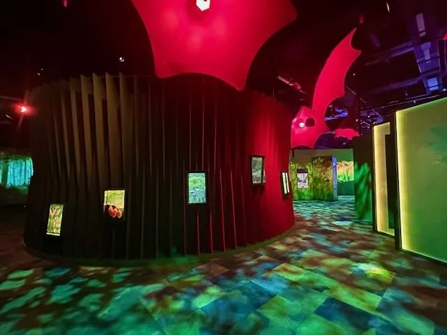 Our Wondrous Planet Melbourne Museum - 13.jpeg