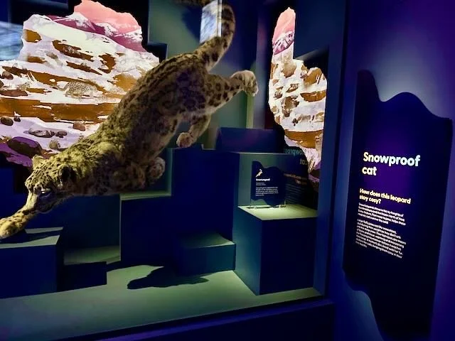 Our Wondrous Planet Melbourne Museum - 16.jpeg