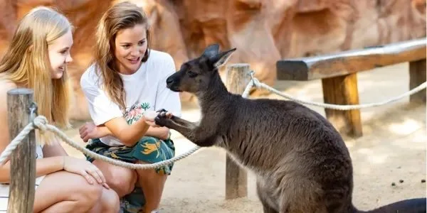 Student Discount at WILD LIFE Sydney Zoo