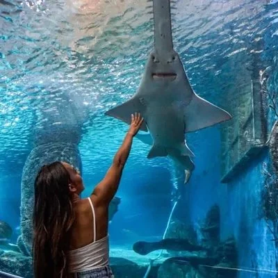 Student Discount at SEA LIFE Melbourne