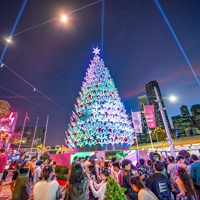 Christmas Festival Launch (Free)