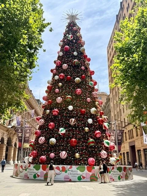 Martin Place Christmas tree