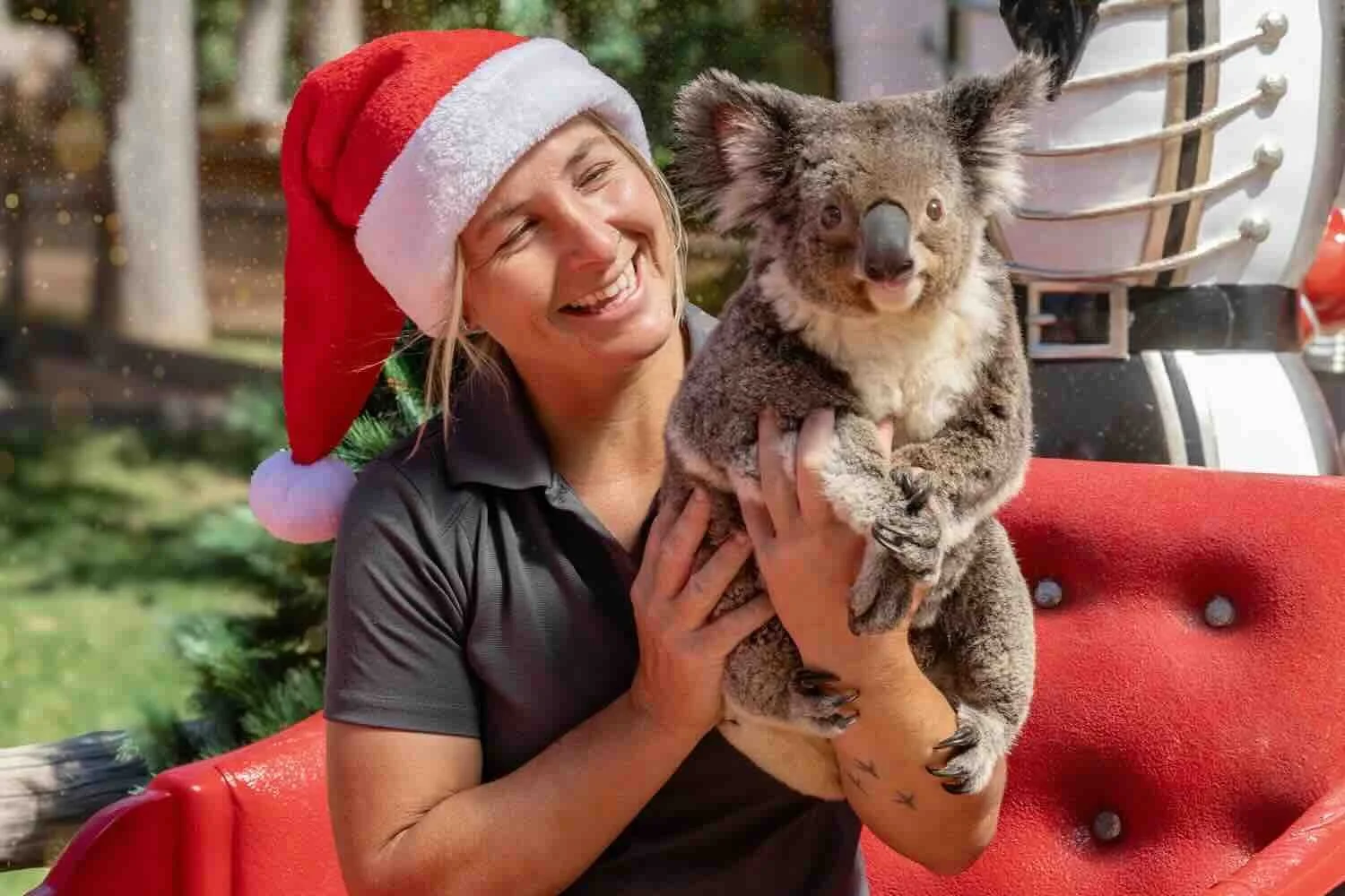 Sydney Zoo Christmas Spectacular