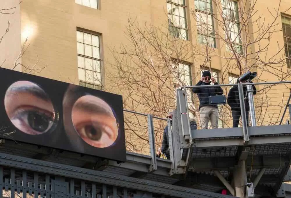 Observer, Observed (Free)