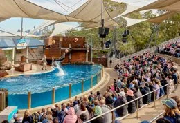 Get Ready for a Wild Summer at Taronga Zoo!