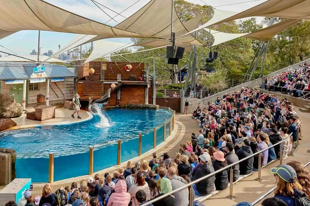 #sydney WIN 1 of 3 Family Passes for a Wild Summer at @tarongazoo!

To celebrate a Wild Summer at Taronga Zoo these holidays, we have 3 family passes (2 adults + 2 kids) to giveaway to our lucky readers - each valued at $168!

☀️ Meet Hari the Rhino 