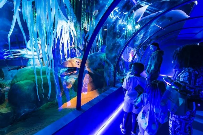 Summer at Scenic World