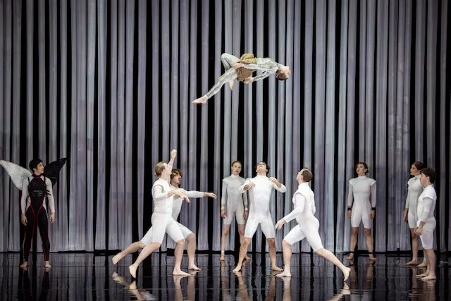 duck pond melbourne - 1 (1).jpeg