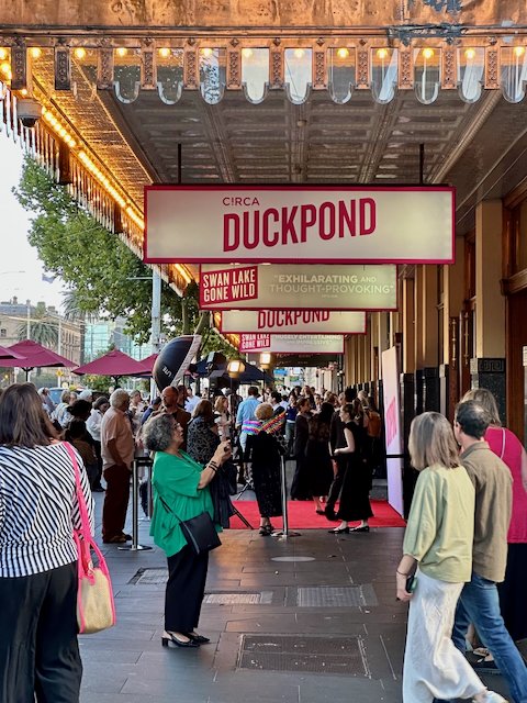 duck pond melbourne - 1.jpeg