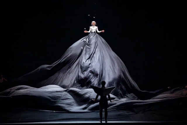 duck pond melbourne - 3 (1).jpeg