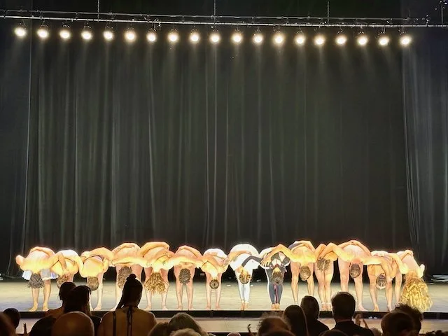 duck pond melbourne - 5.jpeg