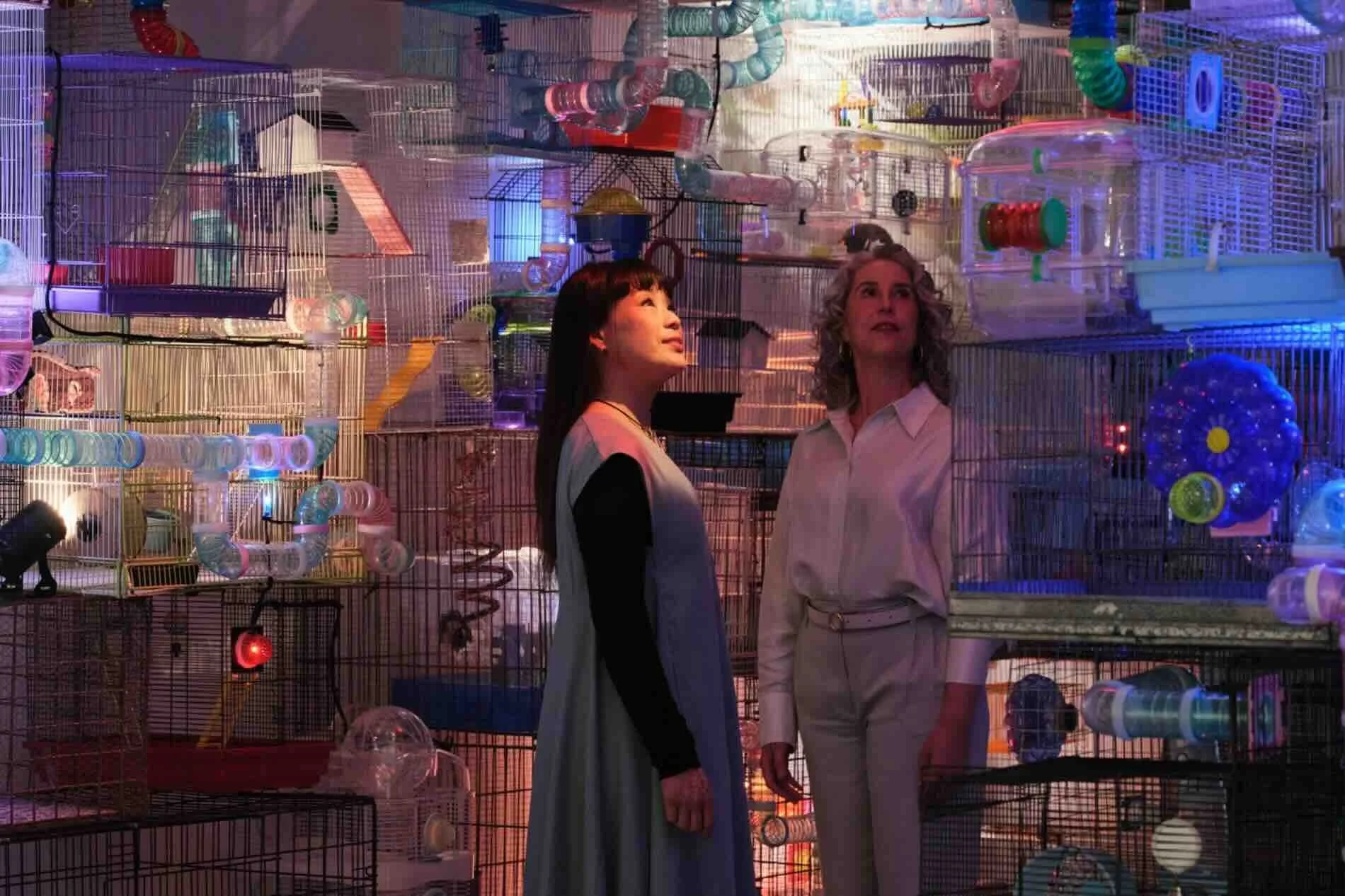 Free entry to the MCA Australia Wednesday 21 January (Free)