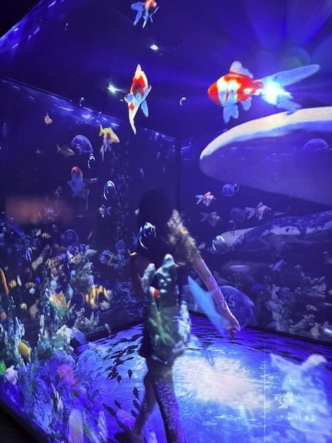 digipark sydney - 1.jpeg