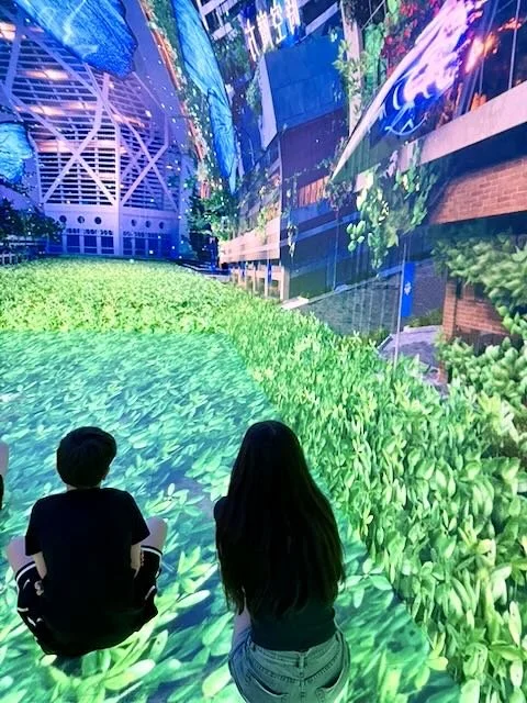 digipark sydney - 8.jpeg