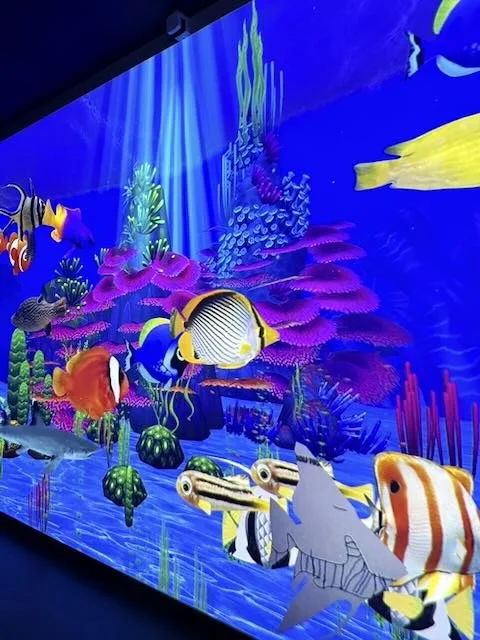 digipark sydney review - 1.jpeg