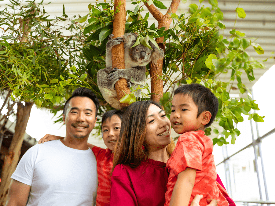 Meet The Big Aussie 5 at WILD LIFE Sydney Zoo