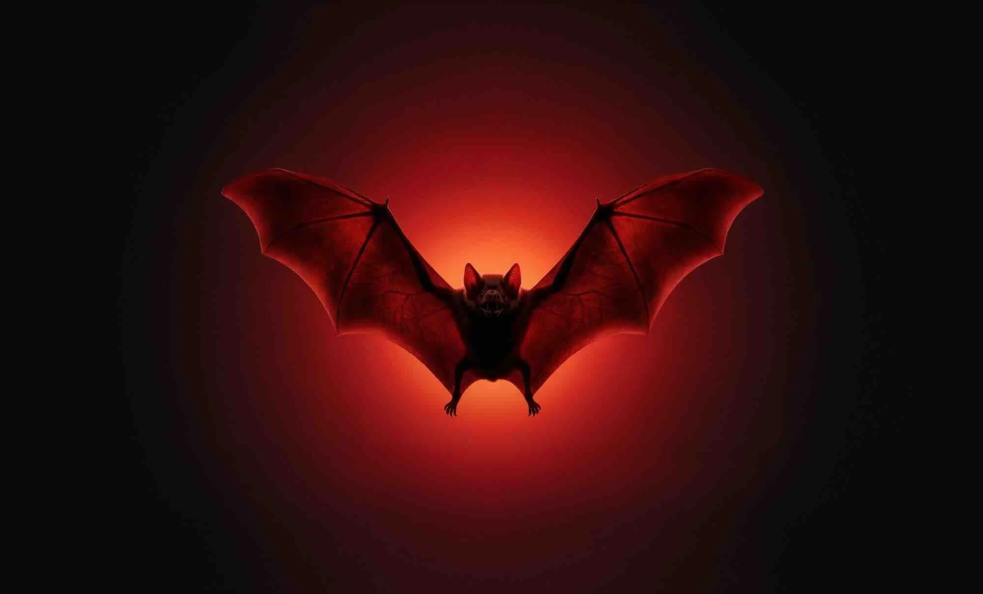 Bloodsuckers: Nature's Vampires