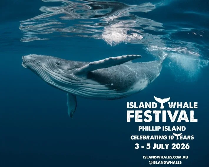Island Whale Festival