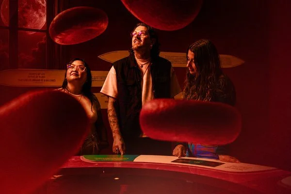 Bloodsuckers After Dark