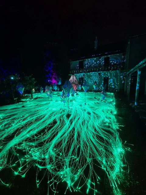 20261001_191147.jpeg
