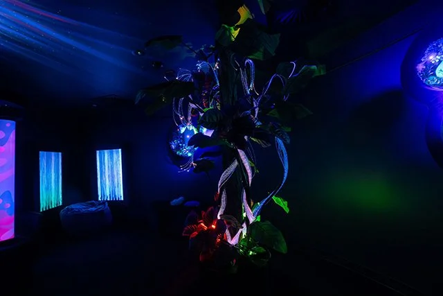 SEA LIFE Sydney Aquarium launched a brand NEW Sensory Room