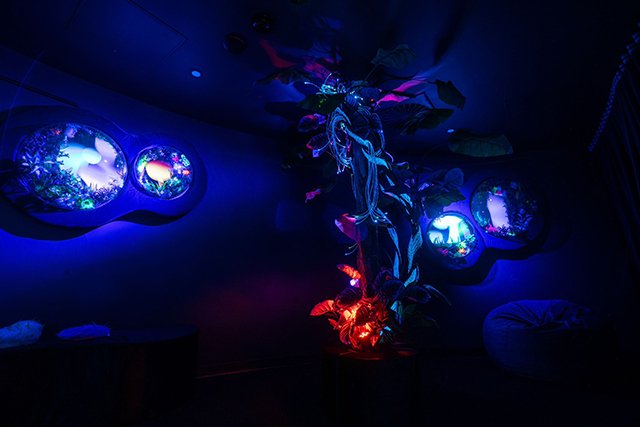 SEA LIFE Sydney Aquarium launched a brand NEW Sensory Room