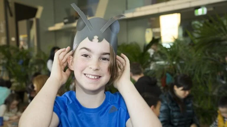 Antennae Antics