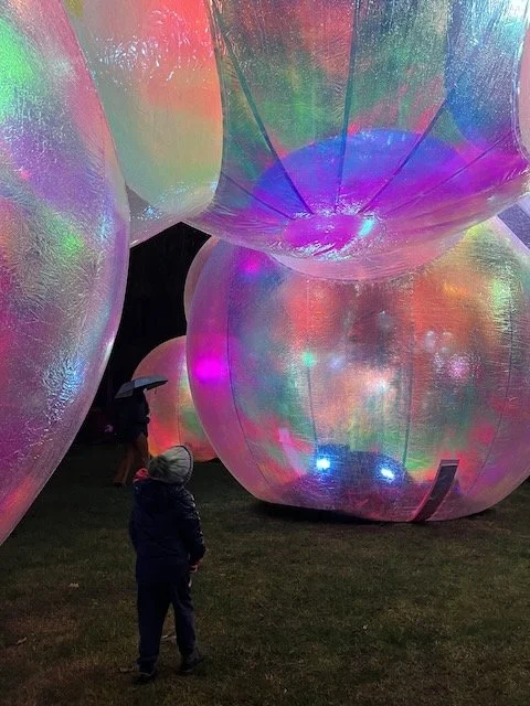 Glow Winter Arts Festival 2024 at Central Park in Malvern East - Review