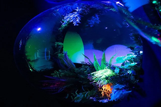 SEA LIFE Sydney Aquarium launched a brand NEW Sensory Room
